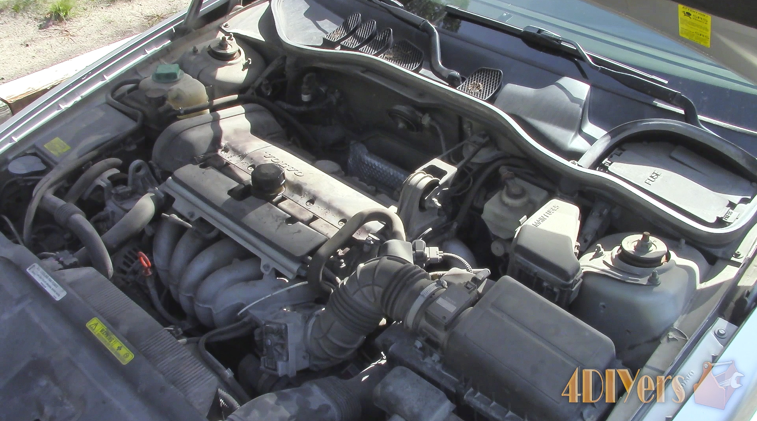 Screen Shot 2016-11-13 at copy_1.jpg